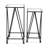 Aeriva Set of 2 Square Metal Modern Tables | Mirror Top | - Black-781659803