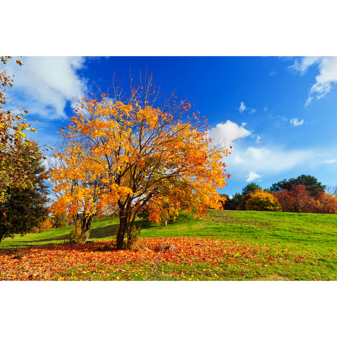 Herbst Herbstlandschaft von NiseriN - Drucken