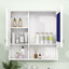 Armoire à pharmacie murale avec miroir, tablettes réglables, rangement ouvert et portes-880034525