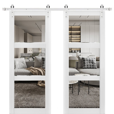 Portes de grange en verre transparent Lucia avec ensemble de quincaillerie d'installation