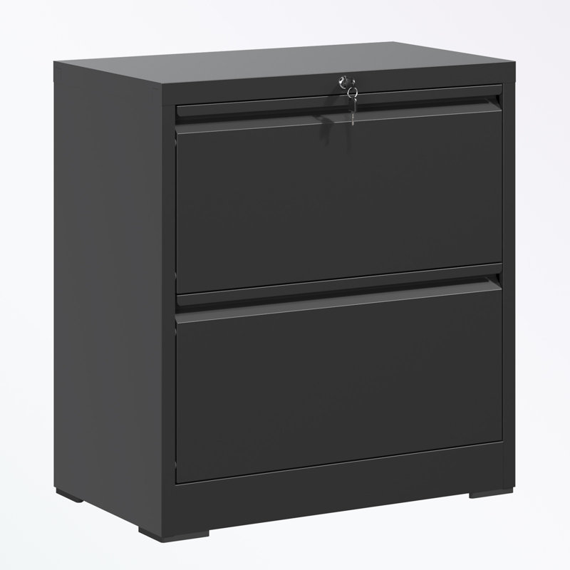 metal frame File Cabinet with 2 Drawers, Black
