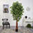 Super Deluxe Ficus Artificial Tree with Natural Trunk