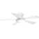 Waxler 52'' Ceiling Fan with LED Lights