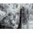 Walmoor Ikat Indoor Rug-38205071