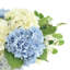 Mélange d'hortensias dans un vase décoratif-696341758