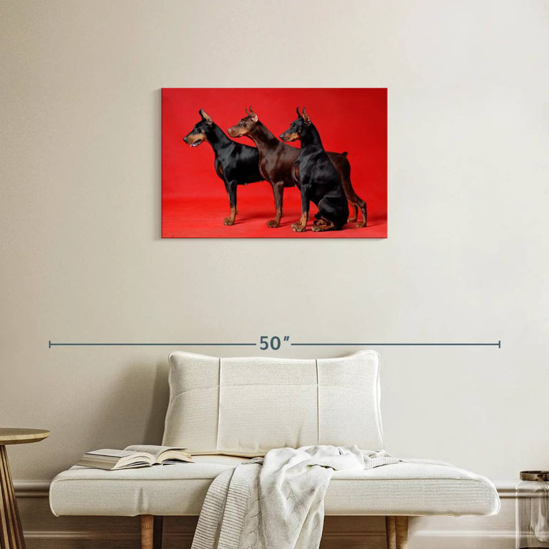 Doberman Trio, H 20 po x l 30 po