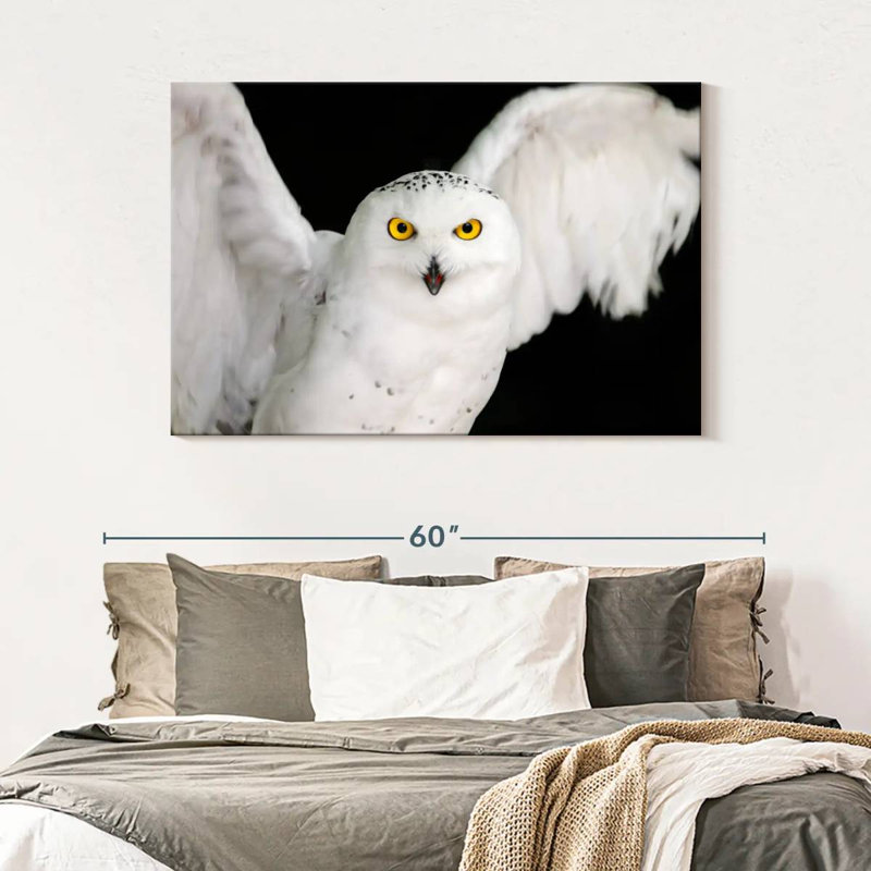 Brampt White Owl, 32" H x 48" W