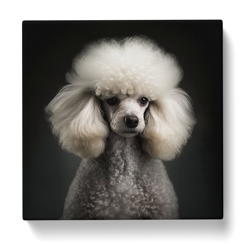 Poodle - Wrapped Canvas, 50cm H x 50cm W x 3cm D