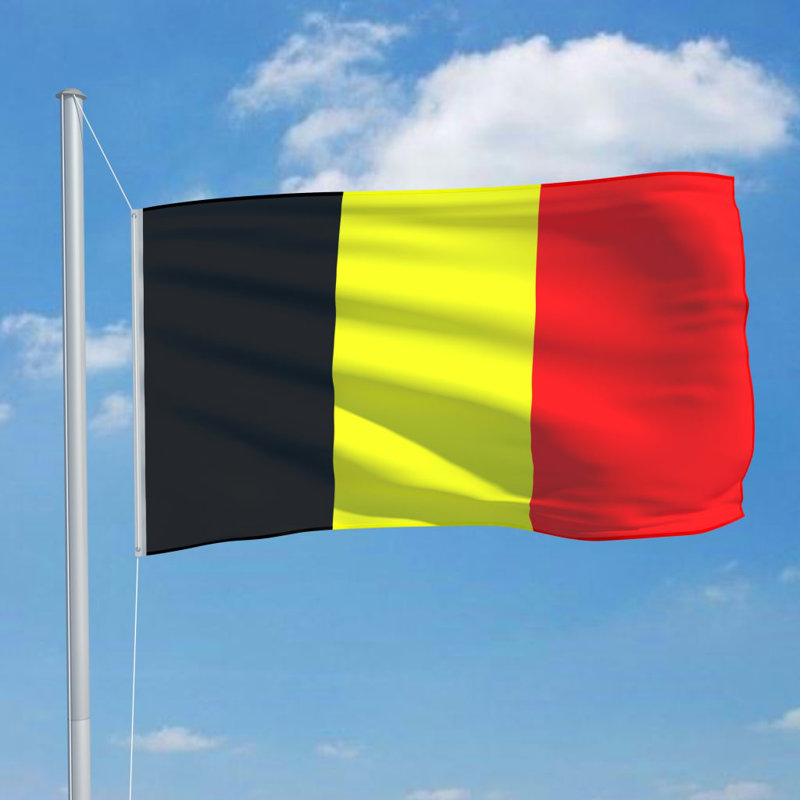 Sion Double Sided 90cm H x 150cm W Polyester Garden Flag