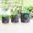 Dakota Fields Handmade Amethyst Spring Baskets