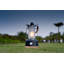 Orkney 26cm Battery Powered Integrated LED Color Changing Outdoor Lantern with Electric Candle-1078370593