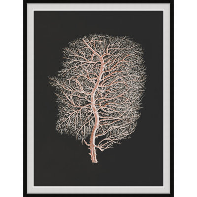 Timeless Relic 2 Print by Art House Studios