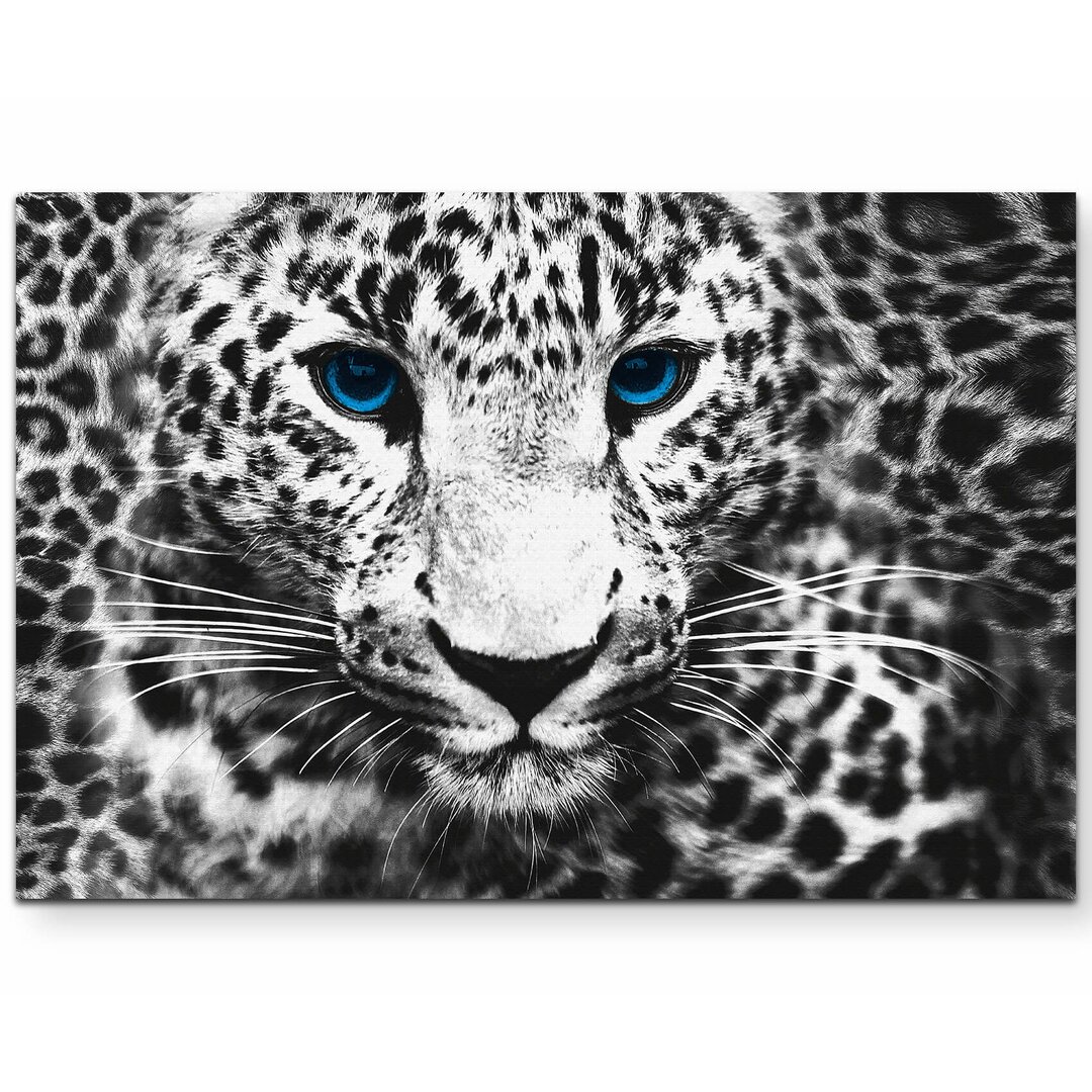 Leinwandbild "Fotografie weißer Leopard mit blauen Augen"