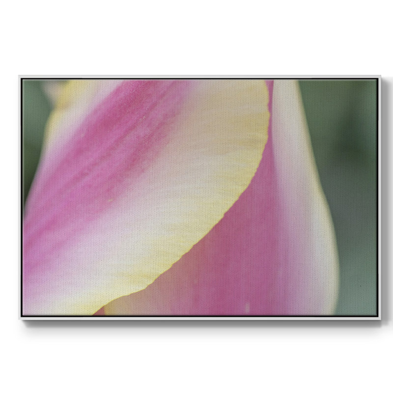 Délicat - peinture sur toile tendue, Toile avec cadre blanc, H 37 po x l 25 po x P 2 po