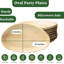 Assiette plate Palm Leaf
