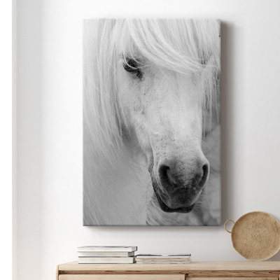 Island Pony I - Toile tendue avec châssis de qualité supérieure - prête à être accrochée