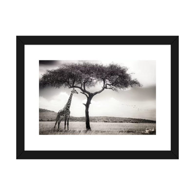 " Under The African Sun " by Piet Flour