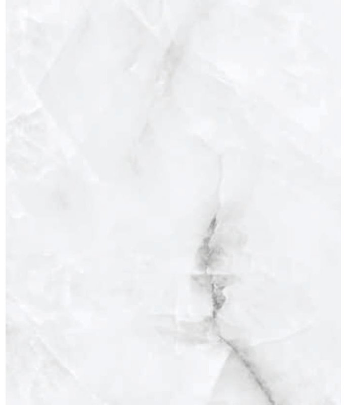 Melanoid Brilliant Silver Polished, 12" W x 24" L