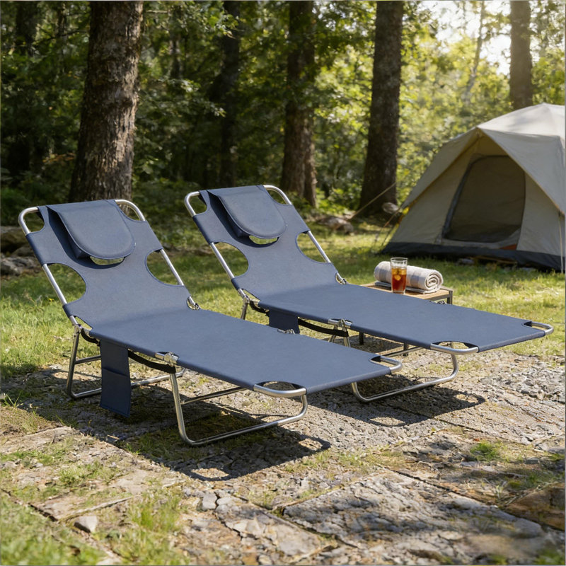 Extérieur 2 chaises de bronzage, Gris, 2