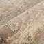 Tapis ivoire traditionnel rouille terre cuite Abani Rugs EVE120A Evelyn-1370949460