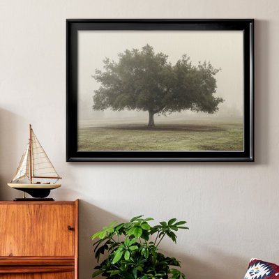 «Trees In The Fog II», reproduction encadrée de qualité supérieure - prête à être accrochée