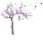 Plants & Flowers Non-Wall Damaging Accent-2054005513-2054005524