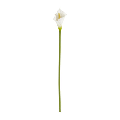 Ensemble de 12 fleurs Calla Lily