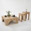 Glorias Coffee Table-106668557-106668558