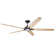 Indy 72'' Ceiling Fan with LED Lights