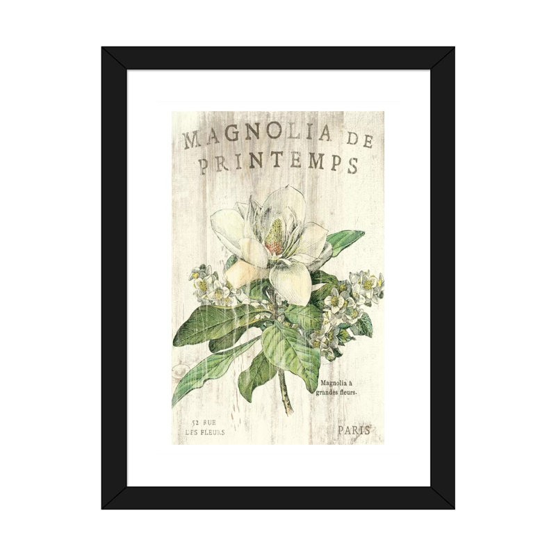 «Magnolia De Printemps» par Sue Schlabach - impression d'art graphique, H 32 po x l 24 po x P 1 po, Papier encadré noir