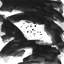 Chirosciro I Print by Larry Laslo