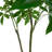4'' Faux Money Tree Tree in Pot