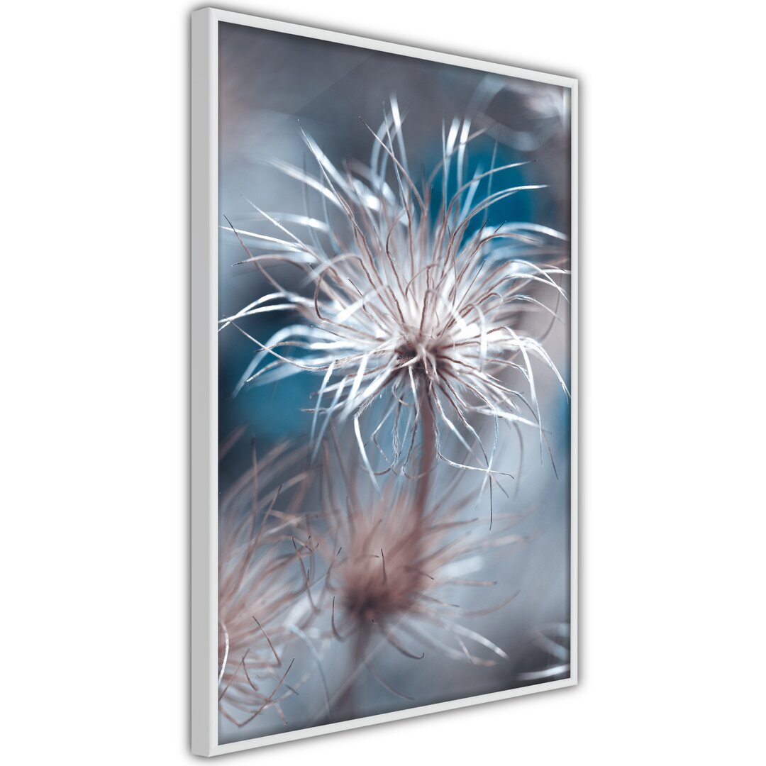 Gerahmtes Poster Like a Dandelion