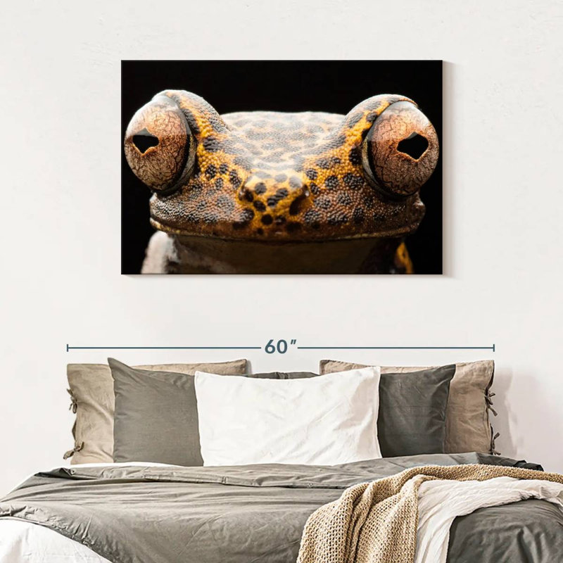 Brampt Tree Frog Eyes, 30" H x 45" W
