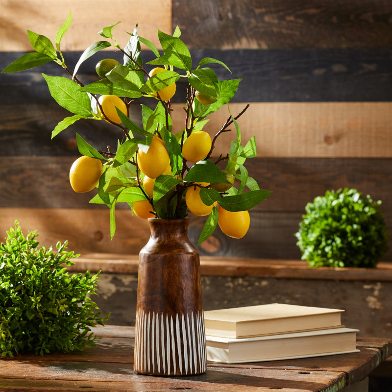 Lemon Fruit Foliage Branch