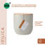 KitchenCraft Idilica Kitchen Canister with Beechwood Lid, 12 x 12cm, Putty-94408716-94408717