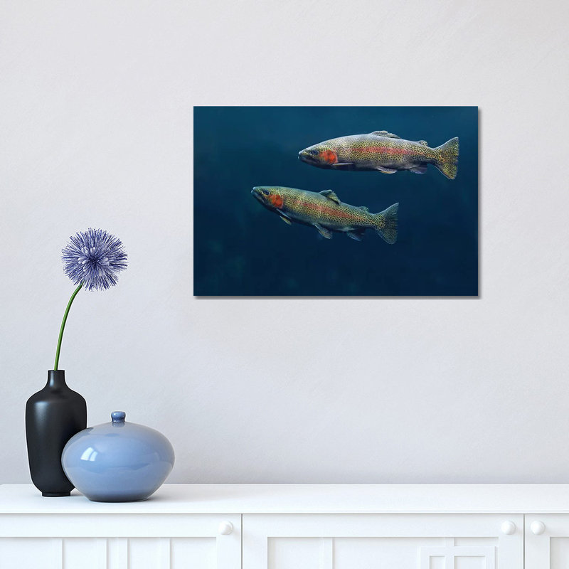 Rainbow Trout Pair Swimming Underwater 1 Piece Wrapped Canvas Wall Art, 30.48 cm H x 45.72 cm W