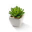 Mini plantes grasses artificielles en pots