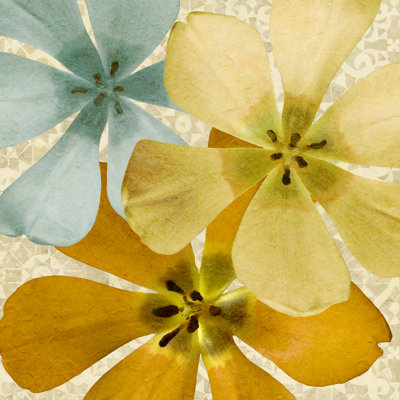 Springtime Glow I by Alonzo Saunders - Wrapped Canvas Painting