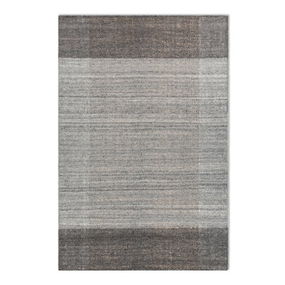 Echo Rug Area Rug in Gray