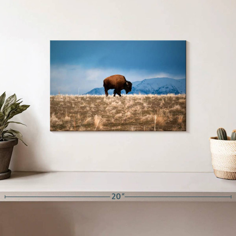 Brampt Antelope Island Bison