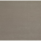 Striped Area Rug in Zebra/Gray