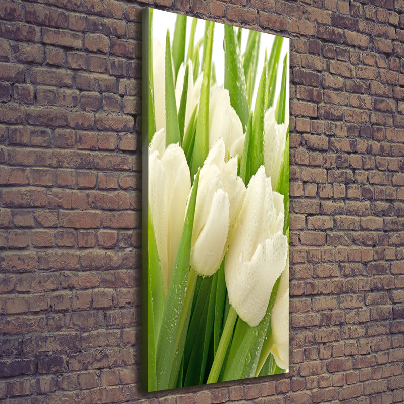 White Tulips - Wrapped Canvas Print