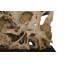Origins Sculpture