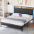 Alicia Upholstered Platform Bed-276131693-276131694