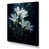Toile tendue