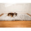  Tapis pour chien Puprug Runner-562120706-562120719