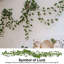 37.4'' Faux Pothos Plant