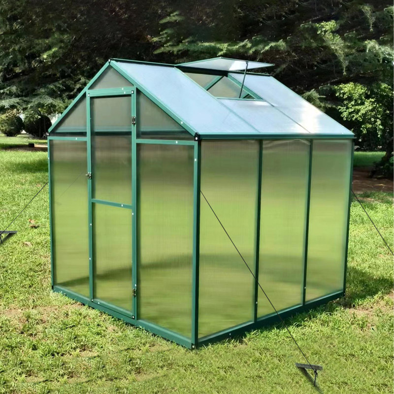 Serre en polycarbonate de 6 pi x 6 pi - Hauteur de gain résistante au vent avec structure en aluminium robuste pour toute l'année