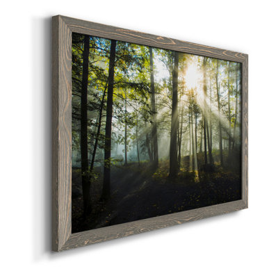 Lumière et arbres - Toile encadrée de qualité supérieure - prête à être accrochée